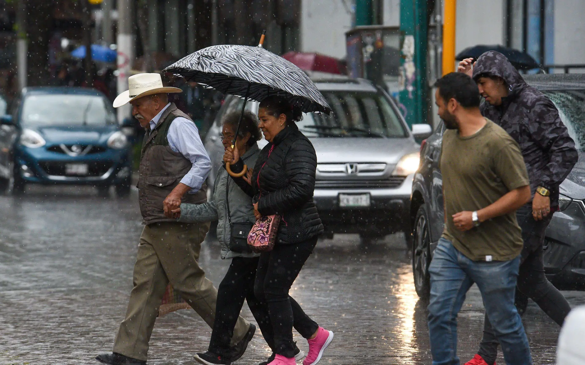 943733_Lluvia en el Valle de Toluca -3.jpg _impreso